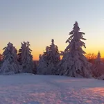 Ferienwohnung Merle In Winterberg-Altastenberg
