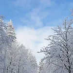 Ferienwohnung Merle In Winterberg-Altastenberg