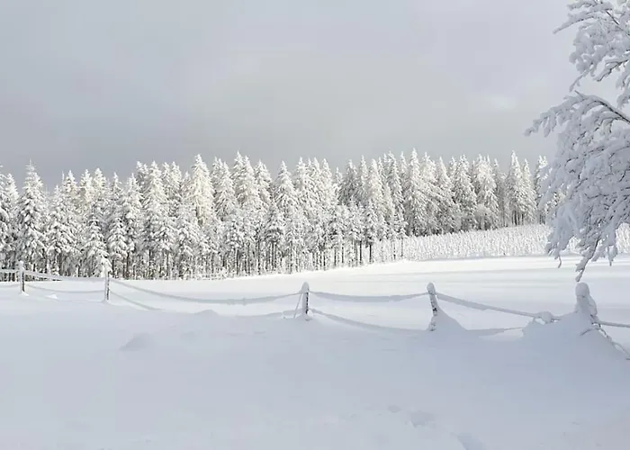 Ferienwohnung Merle In Winterberg-Altastenberg