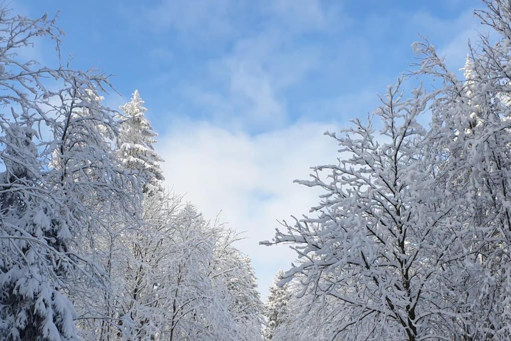 Merle In Winterberg-altastenberg *